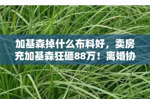 加基森掉什么布料好,卖房充加基森狂砸88万!离婚协议藏惊天隐情,吓到腿软! 加基森掉什么布料好,卖房充加基森狂砸88万!离婚协议藏惊天隐情,吓到腿软!