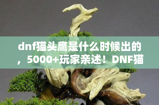 dnf猫头鹰是什么时候出的，5000+玩家亲述！DNF猫头鹰疑云，这操作真绷不住了！