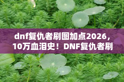 dnf复仇者刷图加点2026，10万血泪史！DNF复仇者刷图加点暗藏砍费隐情，吓一跳的真相！