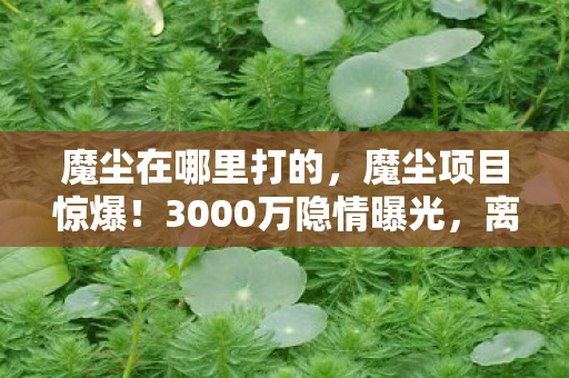 魔尘在哪里打的,魔尘项目惊爆!3000万隐情曝光,离职老兵拍桌怒吼,这操作吓我一跳! 魔尘在哪里打的,魔尘项目惊爆!3000万隐情曝光,离职老兵拍桌怒吼,这操作吓我一跳!