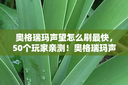奥格瑞玛声望怎么刷最快，50个玩家亲测！奥格瑞玛声望速刷法竟藏着绷不住的离谱操作？