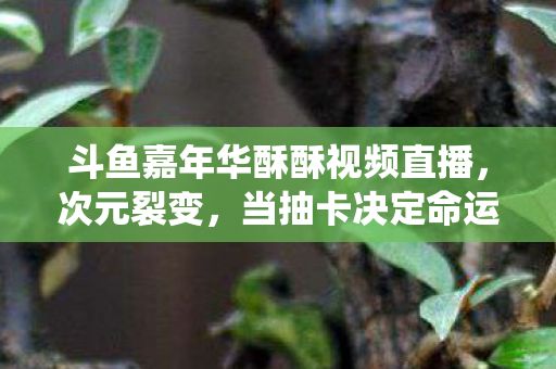 斗鱼嘉年华酥酥视频直播，次元裂变，当抽卡决定命运时，自由意志竟是系统BUG？