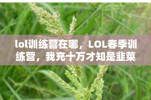 lol训练营在哪，LOL春季训练营，我充十万才知是韭菜，这福利背后吓死人！