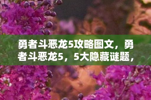 勇者斗恶龙5攻略图文,勇者斗恶龙5,5大隐藏谜题,揭开尘封20年的终极真相? 勇者斗恶龙5攻略图文,勇者斗恶龙5,5大隐藏谜题,揭开尘封20年的终极真相?