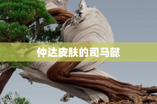 仲达皮肤的司马懿 仲达皮肤的司马懿