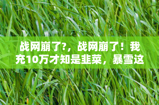 战网崩了?,战网崩了!我充10万才知是韭菜,暴雪这波操作吓掉下巴! 战网崩了?,战网崩了!我充10万才知是韭菜,暴雪这波操作吓掉下巴!