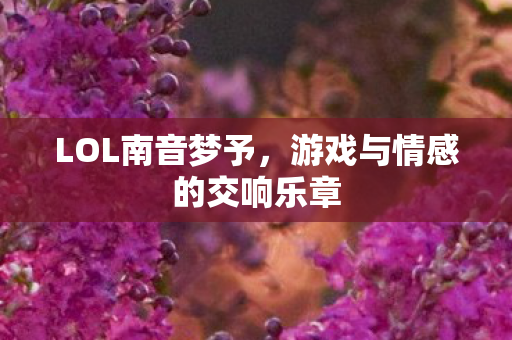 LOL南音梦予,游戏与情感的交响乐章 LOL南音梦予,游戏与情感的交响乐章