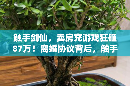 触手剑仙,卖房充游戏狂砸87万!离婚协议背后,触手剑竟成婚姻断头台! 触手剑仙,卖房充游戏狂砸87万!离婚协议背后,触手剑竟成婚姻断头台!