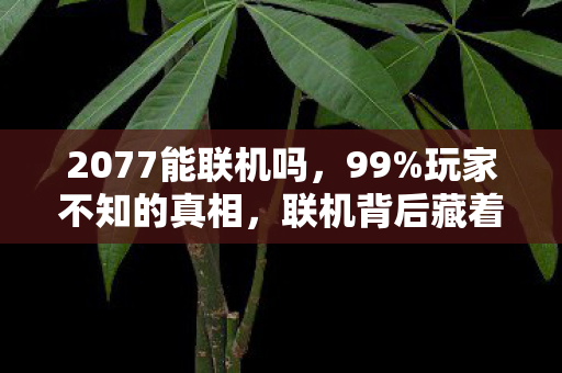 2077能联机吗，99%玩家不知的真相，联机背后藏着多少孤独的赛博灵魂？