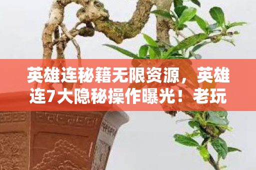 英雄连秘籍无限资源，英雄连7大隐秘操作曝光！老玩家藏了10年的真相竟是……
