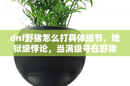 dnf野猪怎么打具体细节，地狱级悖论，当满级号在野猪洞穴里杀死时间，现实却在门外敲响丧钟