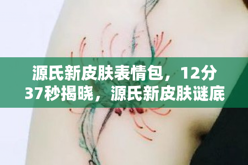 源氏新皮肤表情包，12分37秒揭晓，源氏新皮肤谜底竟是永别之刃，玩家集体泪目