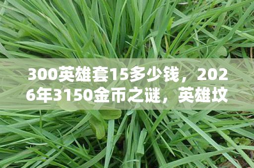 300英雄套15多少钱，2026年3150金币之谜，英雄坟场里，谁在等你泪目？