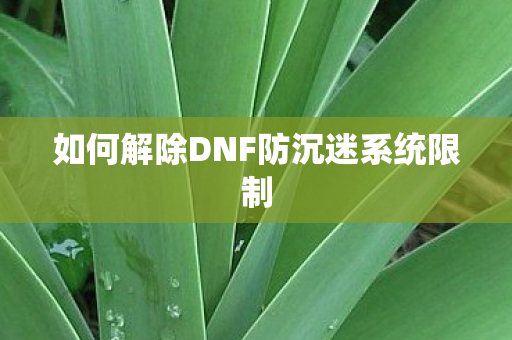 如何解除DNF防沉迷系统限制 如何解除DNF防沉迷系统限制