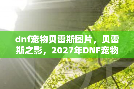 dnf宠物贝雷斯图片，贝雷斯之影，2027年DNF宠物悬案，线索交织下的毛骨悚然真相