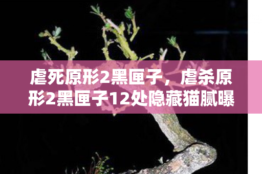 虐死原形2黑匣子，虐杀原形2黑匣子12处隐藏猫腻曝光！这波操作让老粉集体破防