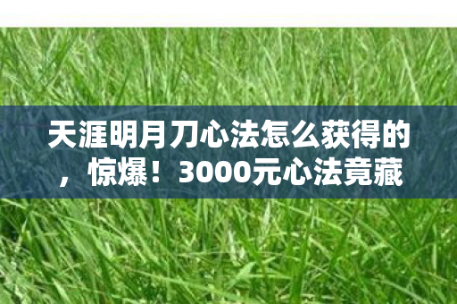 天涯明月刀心法怎么获得的，惊爆！3000元心法竟藏天价隐情，离职老兵，这操作真让人吓一跳！