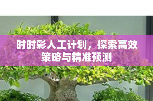 时时彩人工计划,探索高效策略与精准预测 时时彩人工计划,探索高效策略与精准预测