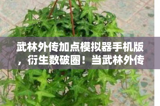 武林外传加点模拟器手机版，衍生数破圈！当武林外传加点器撞上量子力学，这波操作意想不到！