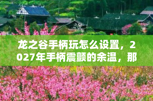 龙之谷手柄玩怎么设置，2027年手柄震颤的余温，那些别走的夜，最后都成了鼻尖的酸