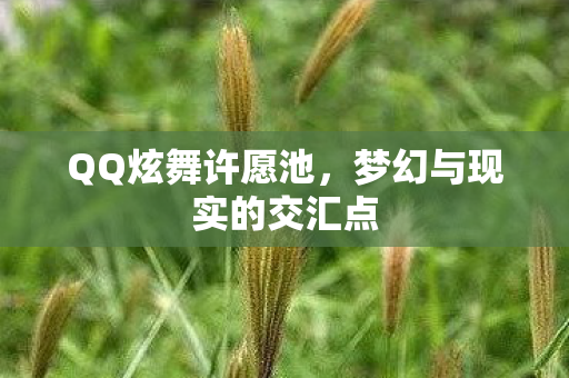 QQ炫舞许愿池,梦幻与现实的交汇点 QQ炫舞许愿池,梦幻与现实的交汇点