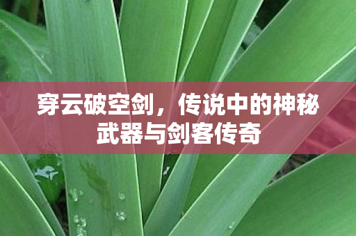 穿云破空剑,传说中的神秘武器与剑客传奇 穿云破空剑,传说中的神秘武器与剑客传奇