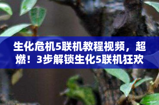 生化危机5联机教程视频,超燃!3步解锁生化5联机狂欢,这体验爽到飞起! 生化危机5联机教程视频,超燃!3步解锁生化5联机狂欢,这体验爽到飞起!