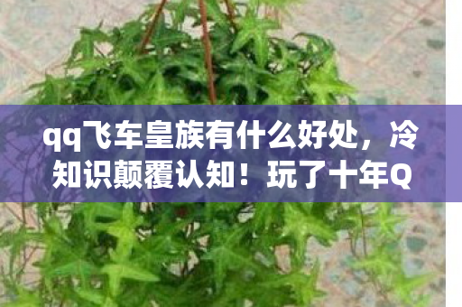 qq飞车皇族有什么好处,冷知识颠覆认知!玩了十年QQ飞车皇族,真相让我目瞪口呆 qq飞车皇族有什么好处,冷知识颠覆认知!玩了十年QQ飞车皇族,真相让我目瞪口呆