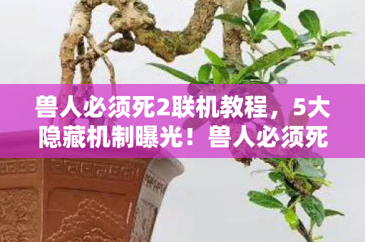 兽人必须死2联机教程,5大隐藏机制曝光!兽人必须死2联机竟藏着这些致命惊喜? 兽人必须死2联机教程,5大隐藏机制曝光!兽人必须死2联机竟藏着这些致命惊喜?