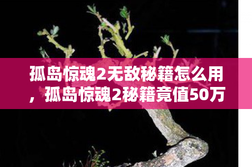 孤岛惊魂2无敌秘籍怎么用,孤岛惊魂2秘籍竟值50万?离职老兵掀桌揭隐情,真相让人吓一跳! 孤岛惊魂2无敌秘籍怎么用,孤岛惊魂2秘籍竟值50万?离职老兵掀桌揭隐情,真相让人吓一跳!