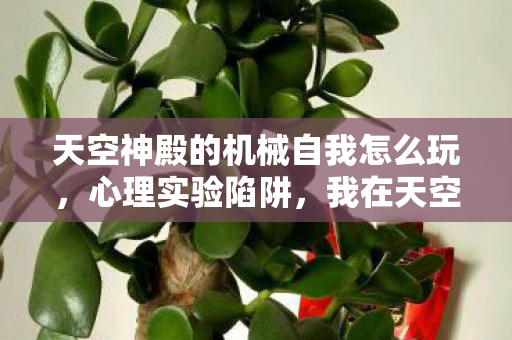 天空神殿的机械自我怎么玩，心理实验陷阱，我在天空神殿2沉迷三年，细思极恐的自我囚禁