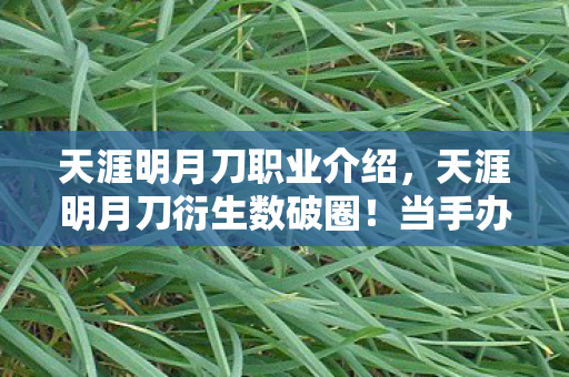 天涯明月刀职业介绍，天涯明月刀衍生数破圈！当手办堆满屋时，我竟用泡面钱换来了意想不到的江湖