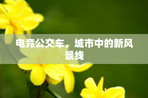 电竞公交车,城市中的新风景线 电竞公交车,城市中的新风景线