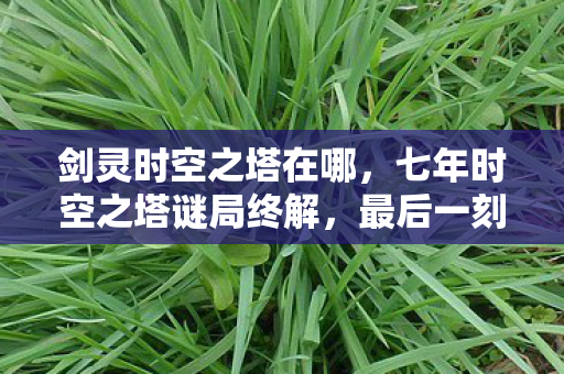 剑灵时空之塔在哪，七年时空之塔谜局终解，最后一刻泪目见证终章
