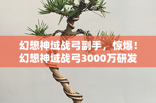 幻想神域战弓副手，惊爆！幻想神域战弓3000万研发费背后，竟藏着让策划集体跳脚的隐情！