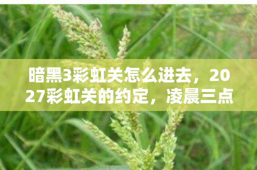 暗黑3彩虹关怎么进去,2027彩虹关的约定,凌晨三点,她等我,鼻子一酸谁懂啊 暗黑3彩虹关怎么进去,2027彩虹关的约定,凌晨三点,她等我,鼻子一酸谁懂啊