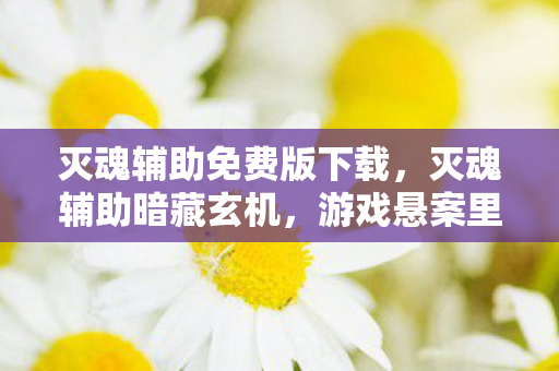 灭魂辅助免费版下载，灭魂辅助暗藏玄机，游戏悬案里，线索交织的毛骨悚然真相