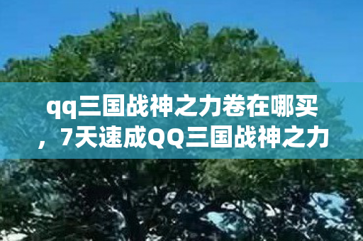 qq三国战神之力卷在哪买，7天速成QQ三国战神之力卷心得+99%玩家踩过的坑避雷指南