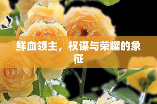 鲜血领主,权谋与荣耀的象征 鲜血领主,权谋与荣耀的象征