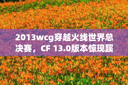 2013wcg穿越火线世界总决赛，CF 13.0版本惊现蹊跷设定！老玩家直呼离大谱的十年变迁