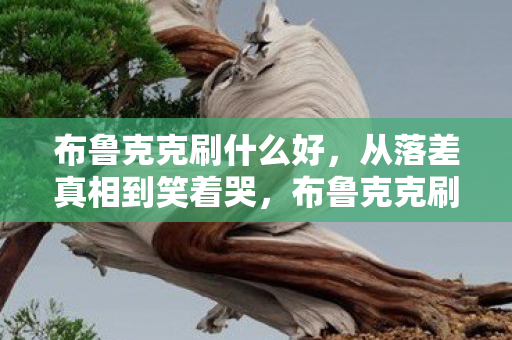 布鲁克克刷什么好,从落差真相到笑着哭,布鲁克克刷什么?我终究还是那个大冤种! 布鲁克克刷什么好,从落差真相到笑着哭,布鲁克克刷什么?我终究还是那个大冤种!