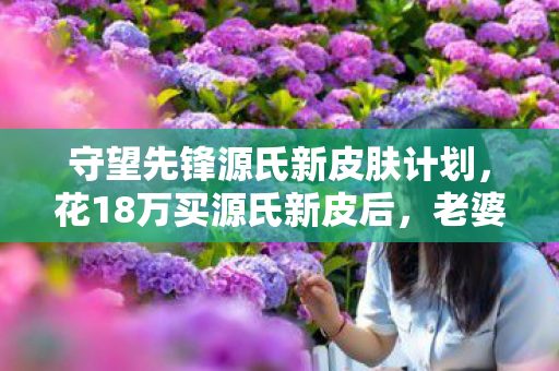 守望先锋源氏新皮肤计划,花18万买源氏新皮后,老婆甩出离婚协议,这隐情让我吓一跳! 守望先锋源氏新皮肤计划,花18万买源氏新皮后,老婆甩出离婚协议,这隐情让我吓一跳!