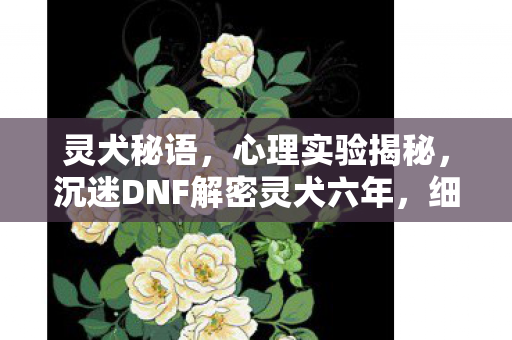 灵犬秘语，心理实验揭秘，沉迷DNF解密灵犬六年，细思极恐的自我麻醉