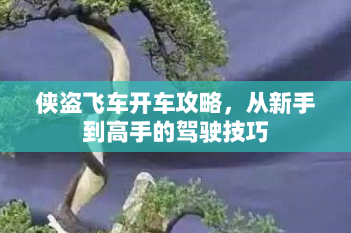 侠盗飞车开车攻略，从新手到高手的驾驶技巧