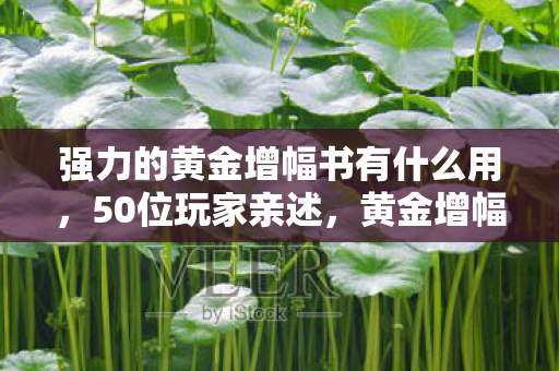 强力的黄金增幅书有什么用,50位玩家亲述,黄金增幅书疑云重重,这操作谁绷得住啊! 强力的黄金增幅书有什么用,50位玩家亲述,黄金增幅书疑云重重,这操作谁绷得住啊!
