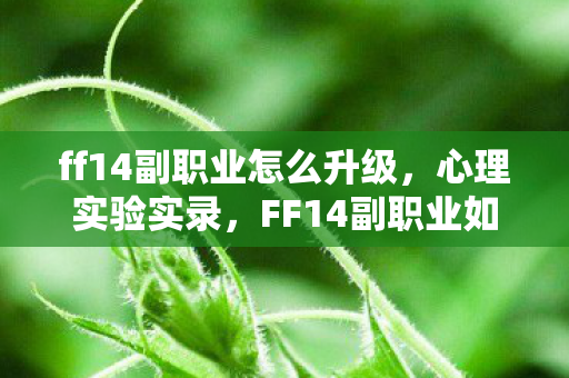 ff14副职业怎么升级，心理实验实录，FF14副职业如何用随机奖励让你沉迷到细思极恐？