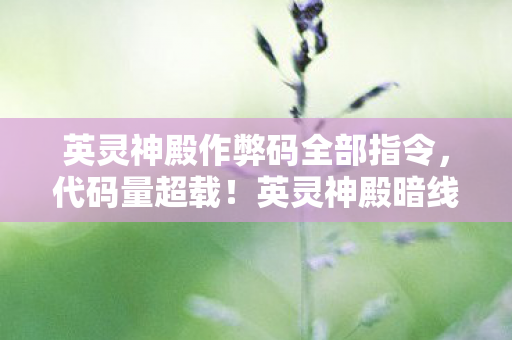 英灵神殿作弊码全部指令，代码量超载！英灵神殿暗线引爆，当玩家行为触发头皮发麻的数字叛乱