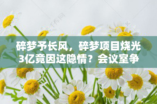 碎梦予长风，碎梦项目烧光3亿竟因这隐情？会议室争吵内幕让人吓一跳！
