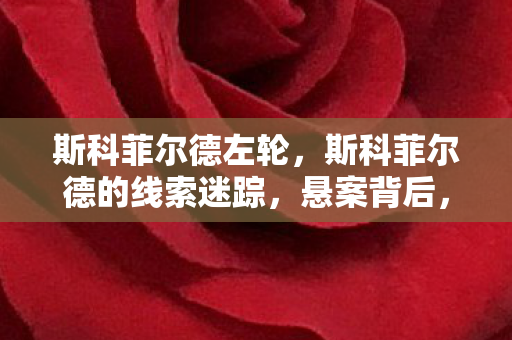斯科菲尔德左轮，斯科菲尔德的线索迷踪，悬案背后，毛骨悚然的游戏囚笼