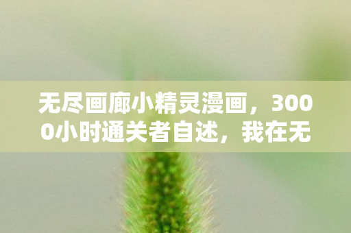 无尽画廊小精灵漫画,3000小时通关者自述,我在无尽画廊里,当了2027年最孤独的画中人 无尽画廊小精灵漫画,3000小时通关者自述,我在无尽画廊里,当了2027年最孤独的画中人